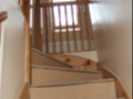 King George Road Andover Loft Conversion